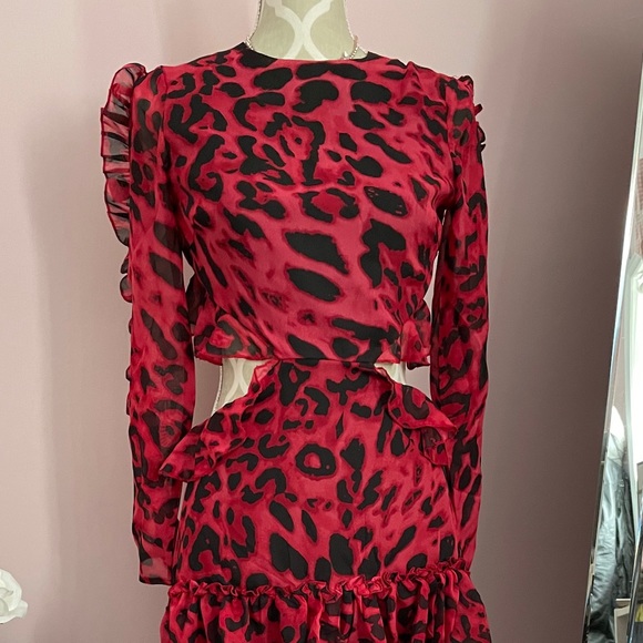 Glam statement summer leopard red brand new dress - Picture 8 of 8